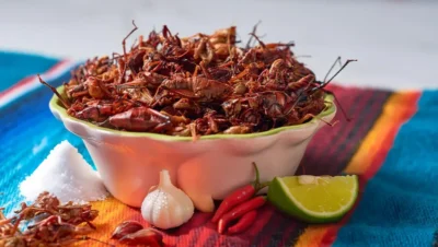 Chapulines Comestibles